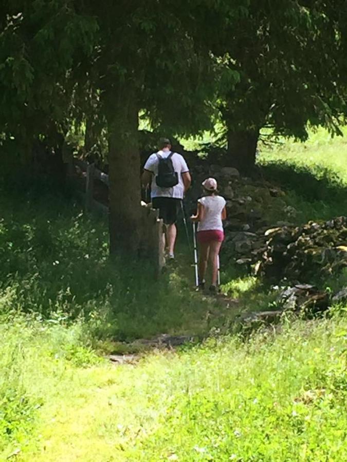 Appartamenti Sissi Commezzadura Kültér fotó